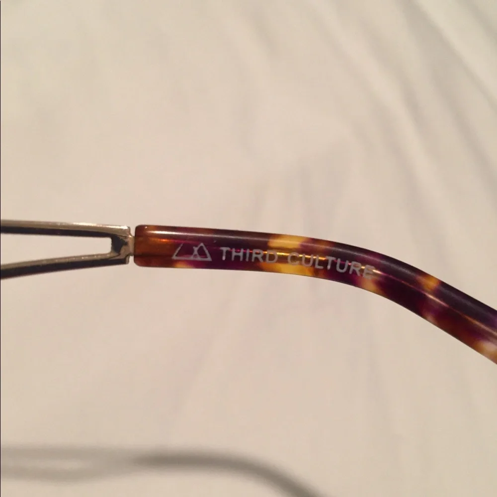 Third Culture Tortoise sunglasses